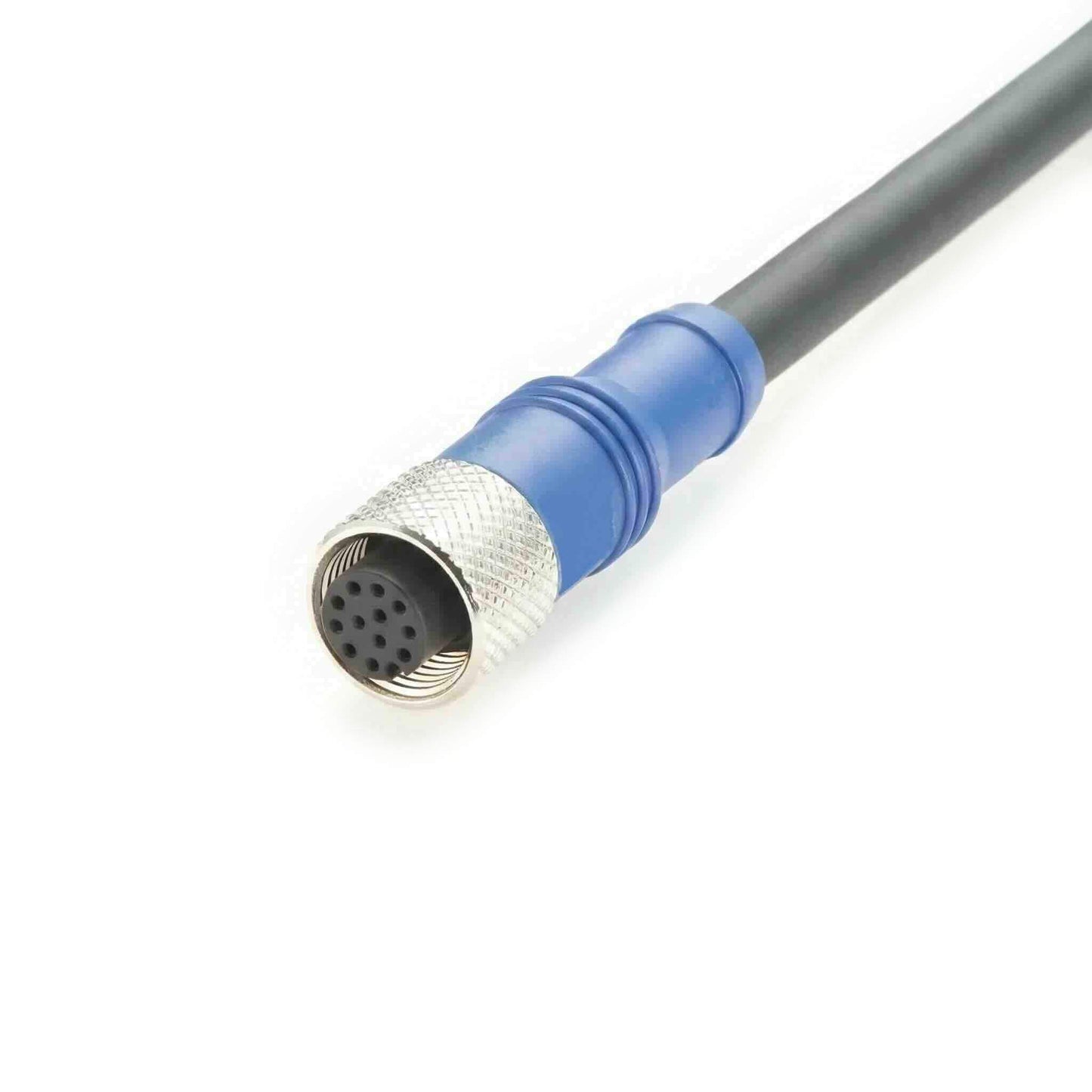 High-reliability 12-conductor shielded cable featuring a threaded M12 connector and precision-stripped wire ends for PLC integration.