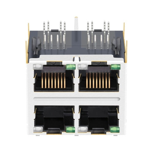 TW22S39650A03NL, 10G Base Gigabit 2x2 Port RJ45 Modular Jack Tab Both with Green/ Green&Yellow Led - front view
