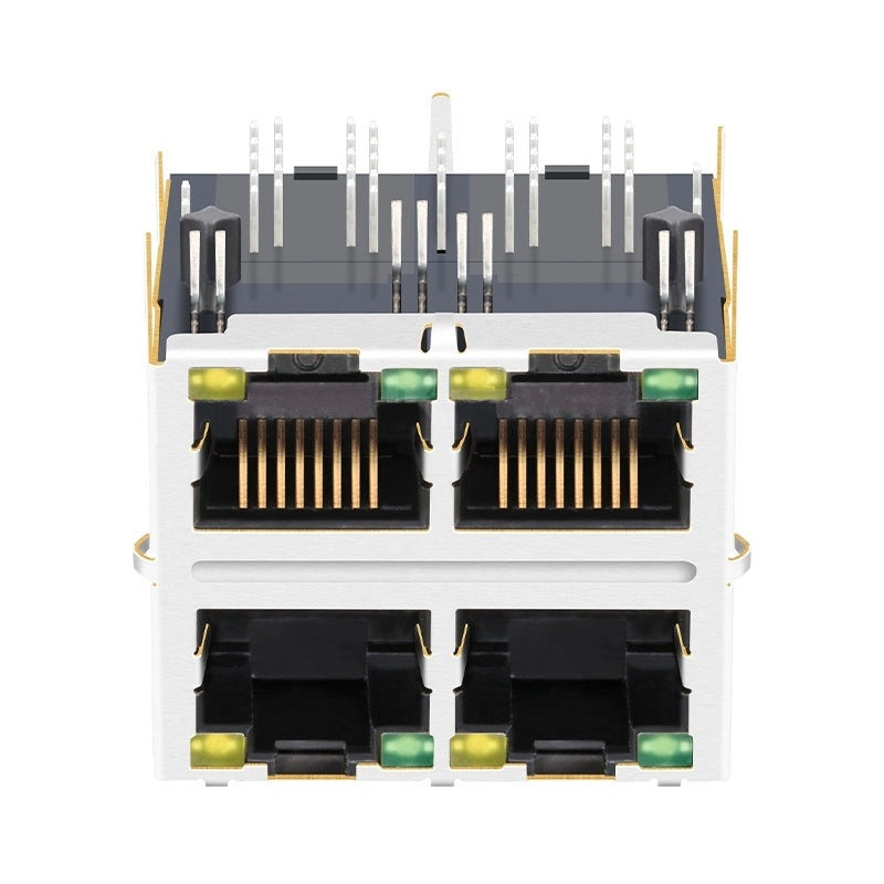 TW22S38131AENL, 1000 Base Gigabit 2x2 Port RJ45 Modular Jack Tab Both with Green/ Yellow Led - front view