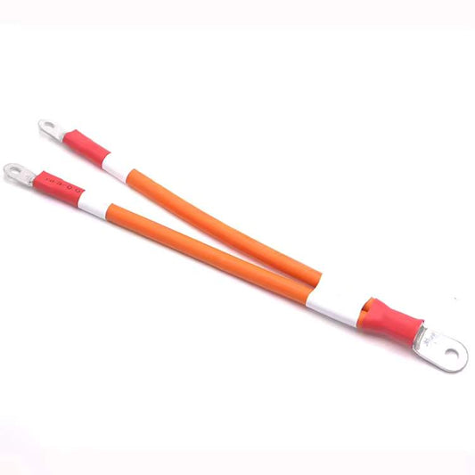 Y-configuration custom battery harness labeled B+ and P+ for power distribution management.